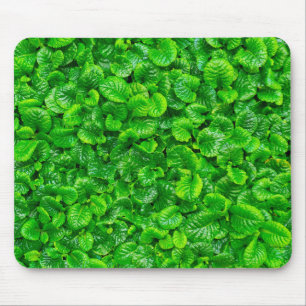 Lush Green Leaves Mouse Mat