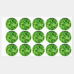 Lush Green Leaves Pattern – Nature Botanical 