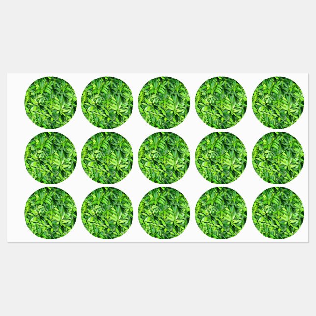 Lush Green Leaves Pattern – Nature Botanical  (Sheet)
