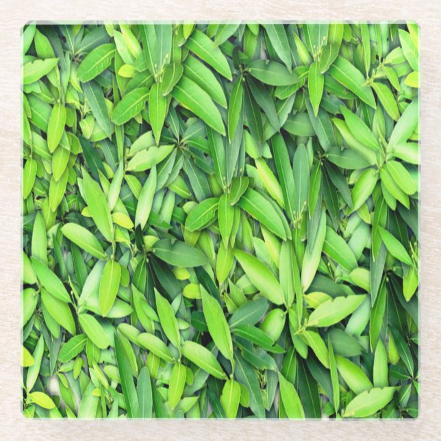 Lush Green Leaves Pattern – Nature Botanical  Glass Coaster (Front)