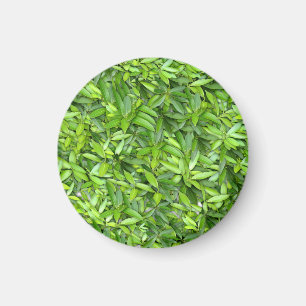 Lush Green Leaves Pattern – Nature Botanical Magnet