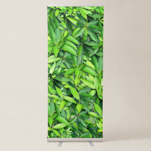 Lush Green Leaves Pattern – Nature Botanical Retractable Banner