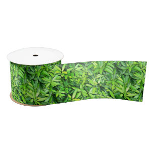 Lush Green Leaves Pattern – Nature Botanical  Satin Ribbon