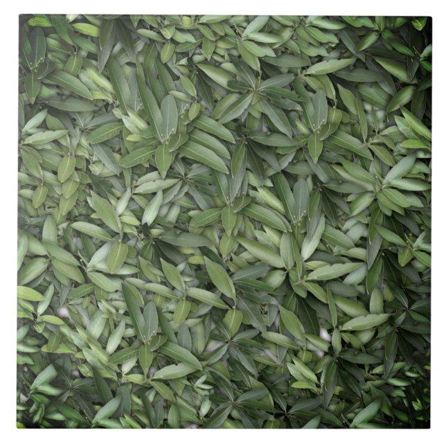 Lush Green Leaves Pattern – Nature Botanical  Tile (Front)