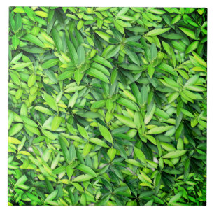 Lush Green Leaves Pattern – Nature Botanical Tile