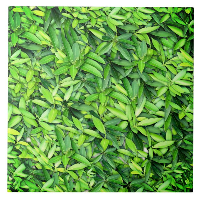 Lush Green Leaves Pattern – Nature Botanical  Tile (Front)
