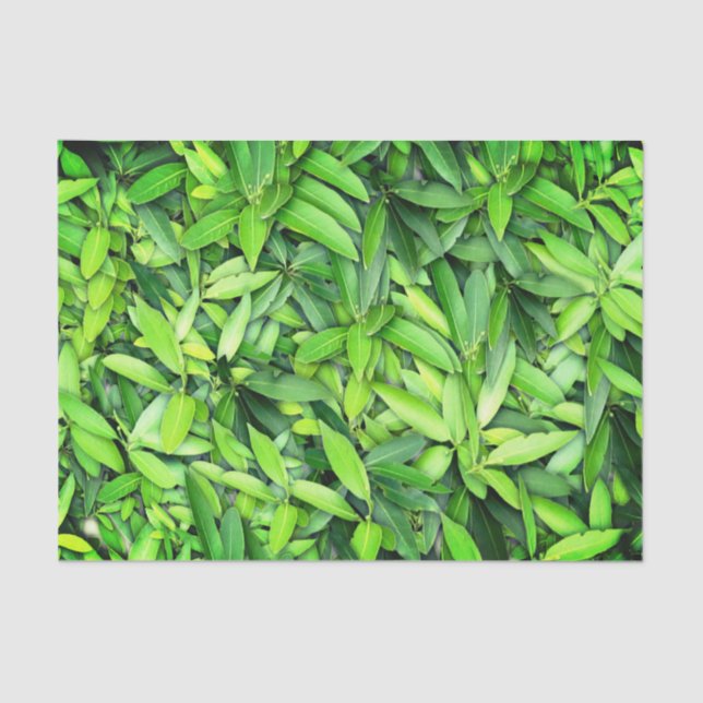 Lush Green Leaves Pattern – Nature Botanical  Tissue Paper (Front)