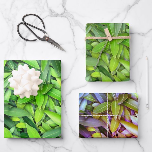 Lush Green Leaves Pattern – Nature Botanical  Wrapping Paper Sheet (Front)