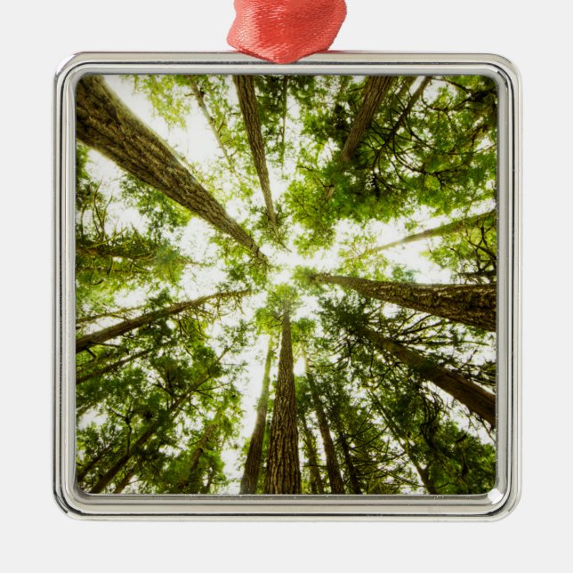 Lush Green Rain Forest Metal Tree Decoration (Front)