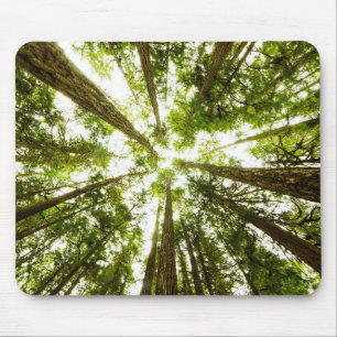 Lush Green Rain Forest Mouse Mat