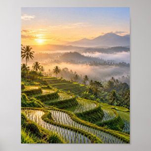 Lush Green Rice Terraces at Sunrise Poster