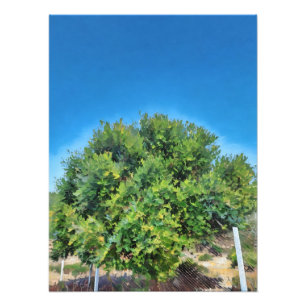 Lush Green Tree Against Vibrant Blue Sky Photo Print