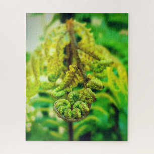 LUSH GREEN TROPICAL NEW ZEALAND FERN KORU KIWI NZ  JIGSAW PUZZLE