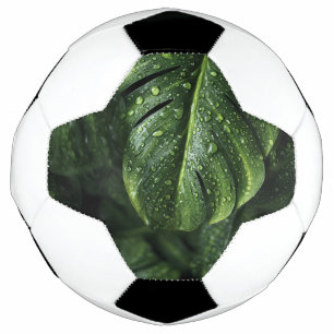Lush Monstera Leaves with Morning Dew Drops Football