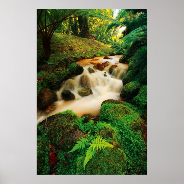 Lush Natural Colours Poster (Front)