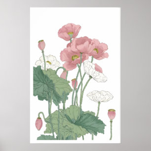 Lush Poppy Blooms Print - Airy Pink Flowers with