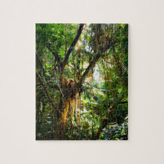 Lush Tropical Rainforest Jigsaw Puzzle
