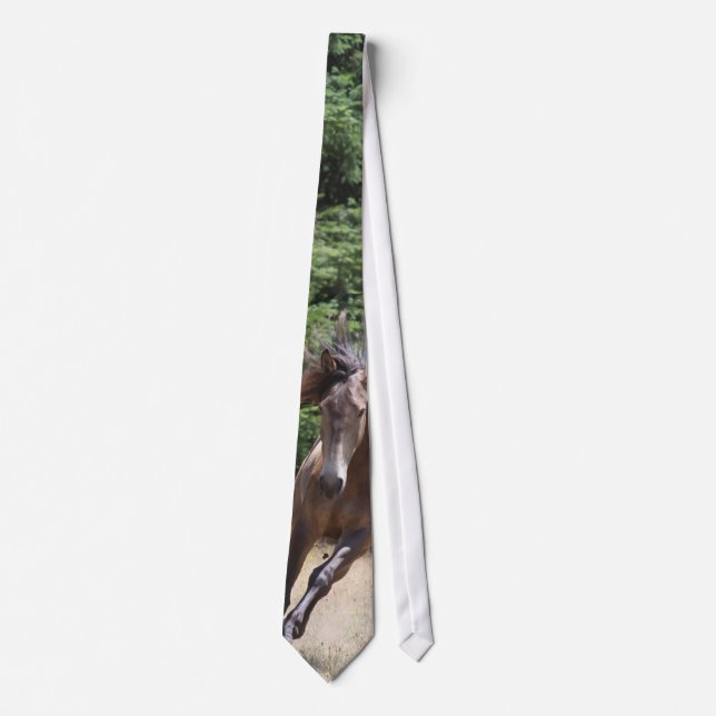 Lusitano Horse at Liberty Men's Tie (Front)