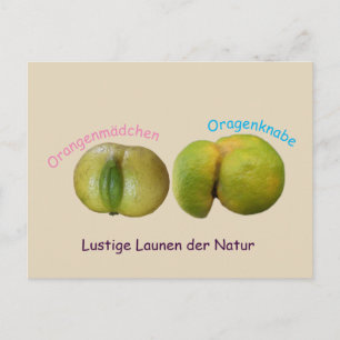 Lustige Orangen Postcard