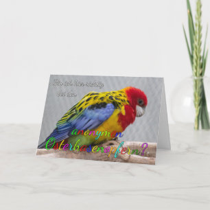Lustige Ostergrüße für Deine Liebsten! Card