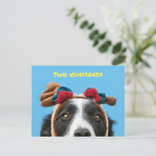 Lustiger Border Collie wünscht frohe Weihnachten Postcard