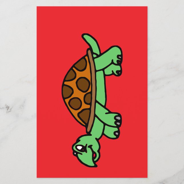 Lusy turtle flyer (Front)