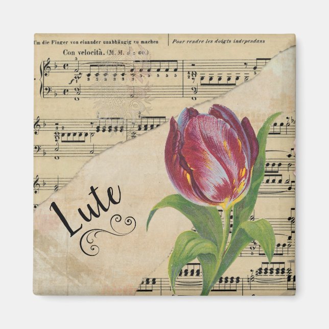 Lute Elegant Tulip Vintage Sheet Music Magnet (Front)