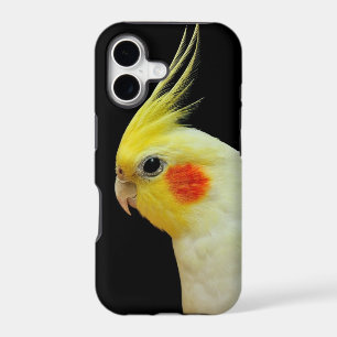 Lutino Cockatiel