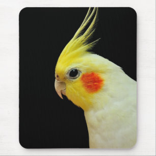 Lutino Cockatiel Mouse Mat