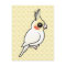 Lutino Cockatiel