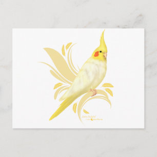 Lutino Cockatiel Postcard