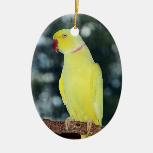 Lutino Indian Ringneck Parakeet Nature Ceramic Tree Decoration (Front)