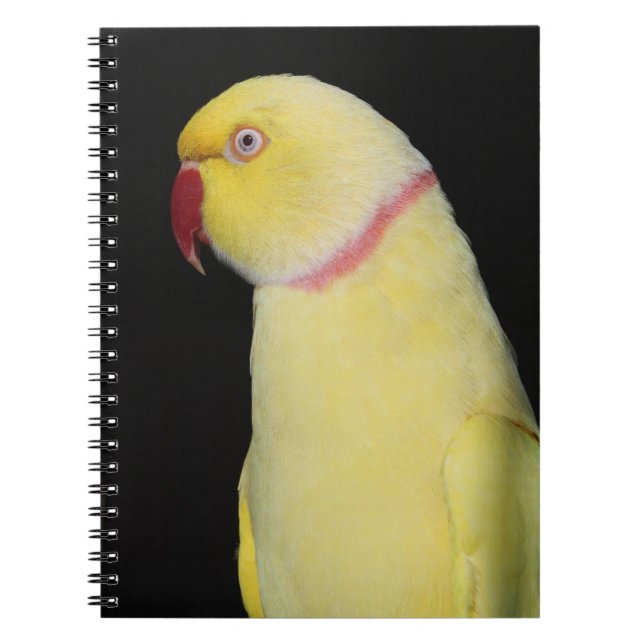 Lutino Indian Ringneck Parakeet Pose Notebook (Front)