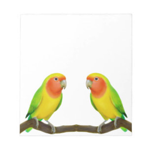 Lutino Lovebird Love Notepad