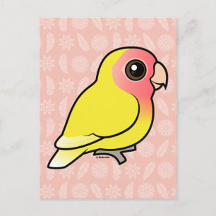 Lutino Peach-faced Lovebird Postcard