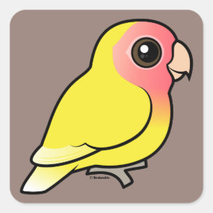 Lutino Peach-faced Lovebird Square Sticker