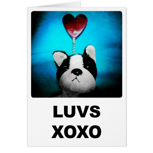 Luvs XOXO Card (Front)