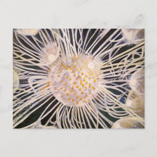 Lux ex Tenebris Postcard (Front)