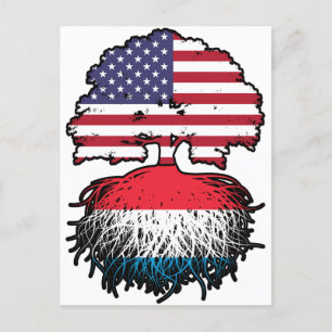 Luxembourg American USA United States Flag Roots Postcard