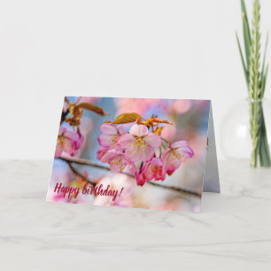 Luxurious Sakura Flowers In The Spring Garden Card