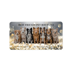 Luxury Dog Walker / Pet Sitter Return Address Label