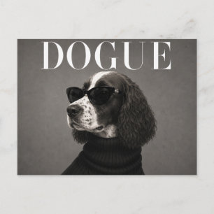 Luxury English Springer Spaniel Postcard
