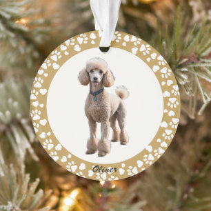 Luxury Gold Photo Frame Pet Memorial Keepsake Ornament