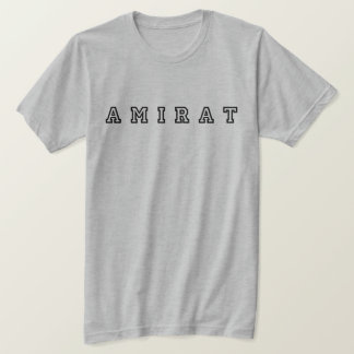 Luxury Minimalist Gold Logo Premium T T-Shirt