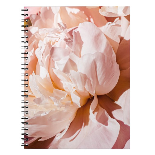 Luxury Peony Flowers Floral Background Notebook (Front)