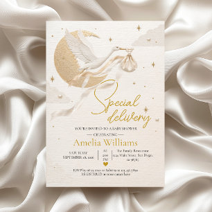 Luxury Special Delivery Stork Baby Shower Invitation