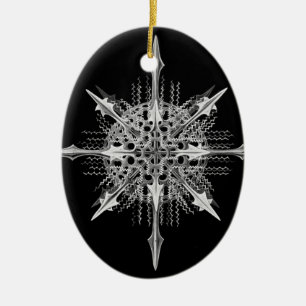 Lychnaspis miranda Ernst Haeckel Fine Art Ceramic Tree Decoration