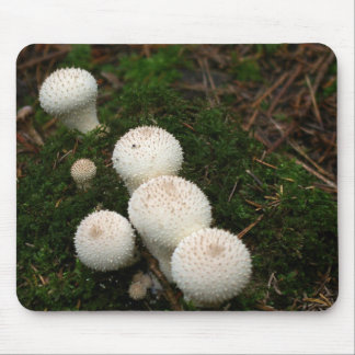Lycoperdon puffball mushrooms mouse mat
