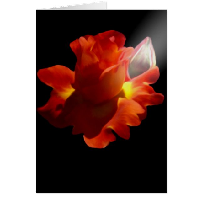 Lydia Rose Card (Front)