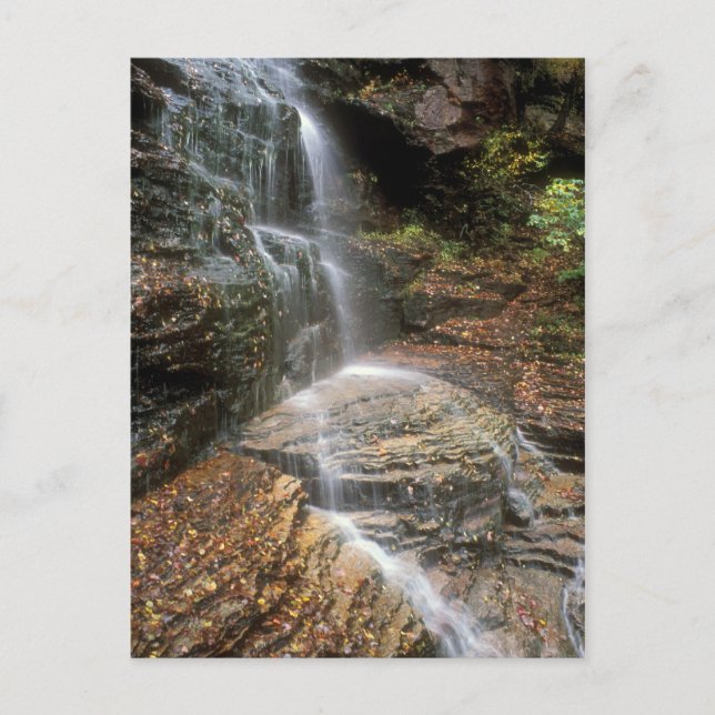 Lye Brook Falls Vermont Postcard (Front)